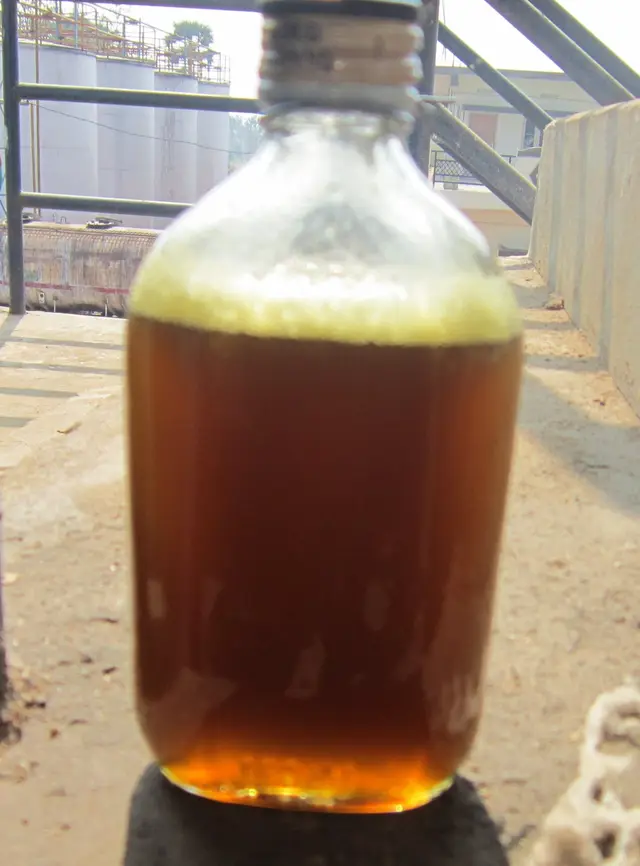 Rice Bran Crude Oil